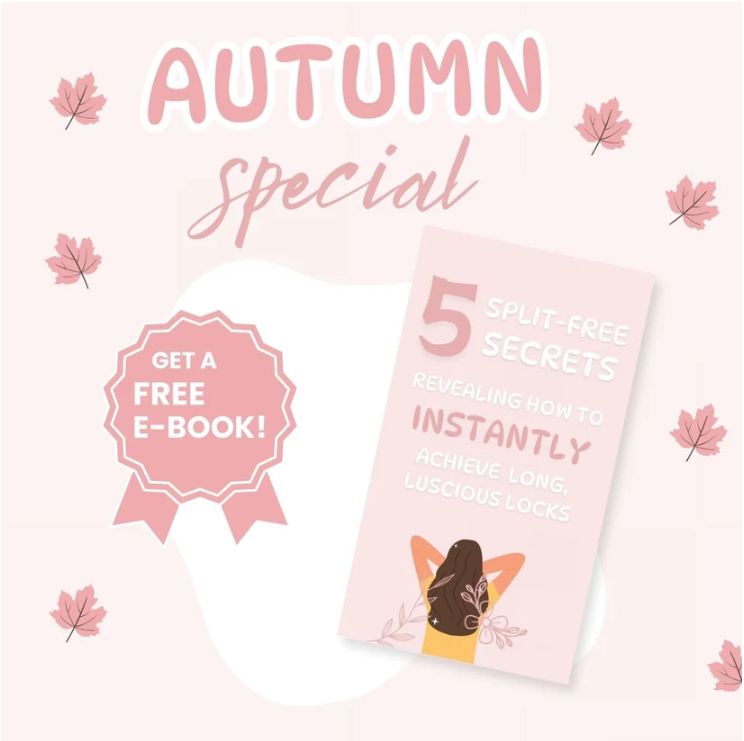 Mendaira⢠Split End Trimmer